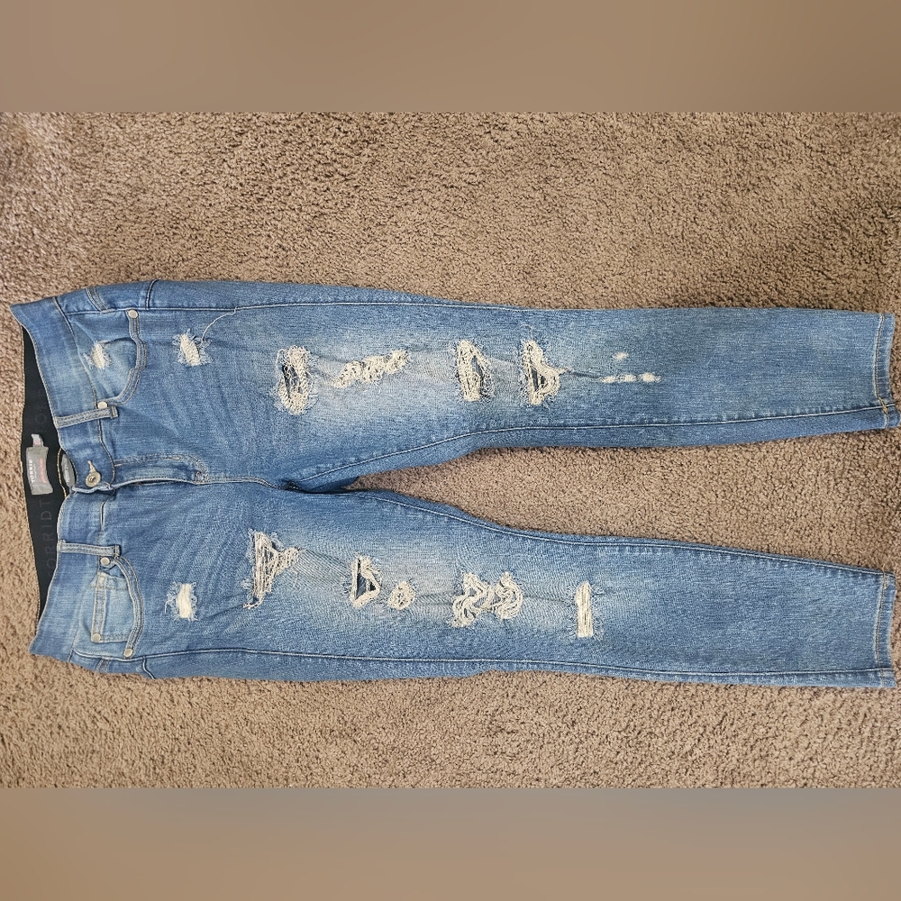 Torrid Distressed Skinny Jeans